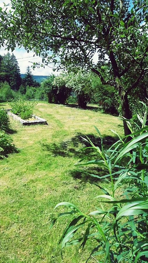 La Boissellerie Hotel Saulxures-sur-Moselotte Exterior foto